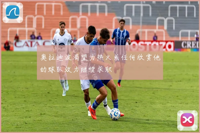 奥拉迪波渴望为热火或任何欣赏他的球队效力继续求职